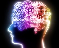 brain training gears